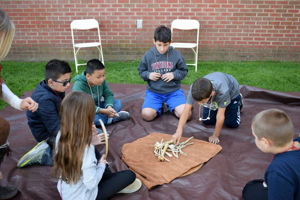 learning about animal bones 